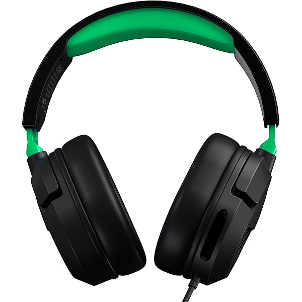 Amazon.com: PlayStation 5 Accessory: BIONIK PRO Essential